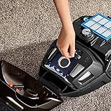 AEG VX6-1-FFP Staubsauger mit Beutel EEK A (700 Watt, inkl. Hartbodendüse, 9 m Aktionsradius, Softräder, 3,5 Liter Staubbeutelvolumen, Hygiene Filter E12) braun - 